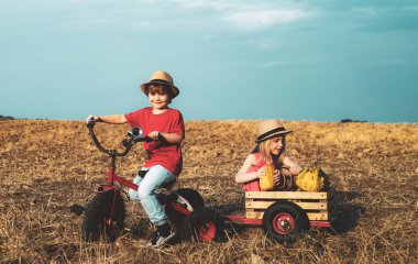 Yazın oynayan mutlu çocuklar. Küçük oğlan ve kız hayatın ve doğanın tadını çıkarıyorlar. Mutlu çocuklar gülümsüyor ve eğleniyorlar. Duygusal küçük kız ve oğlan yürüyüşe çıkmış. Kaygısız çocuklar.