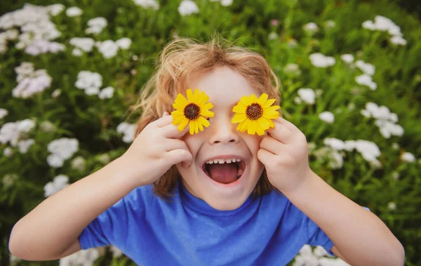 面白い少年キッドとデイジー デイジーの花と草の上に花の目を持つ幸せな小さなブロンドの髪の子供 カモミール畑に対して子供の夢と笑顔 — ストック写真