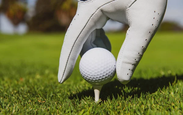 Hand Zetten Golfbal Tee Golfbaan Golfbal Het Gras — Stockfoto