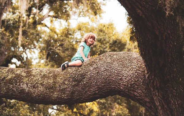 Petit Garçon Mignon Escalade Sur Arbre Taille Concept Style Vie — Photo