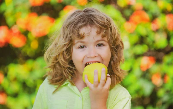 Klein Schattig Kind Dat Groene Appel Eet Portret Van Een — Stockfoto