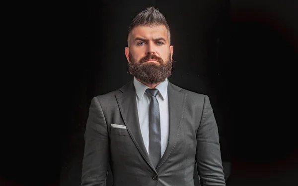 Man suit fashion. Meeting suit. Businessman in dark grey suit. Businessman in work. Top manager
