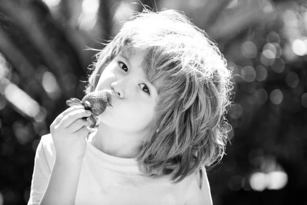 Organiczne Odżywianie Cute Wesoły Dziecko Truskawki Zielonym Tle Lata Uczeń — Zdjęcie stockowe