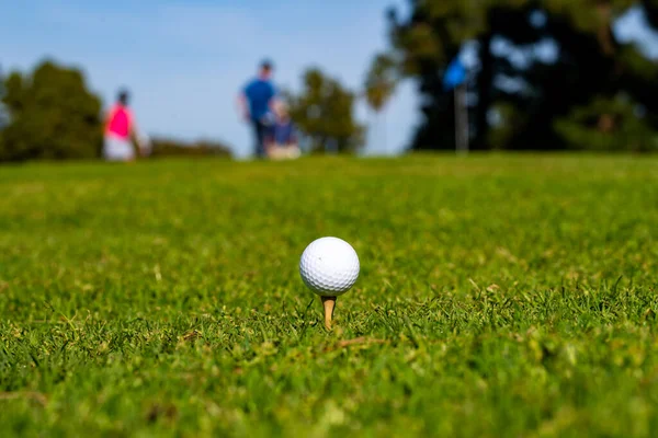 模糊的高尔夫球手把球放在绿色的高尔夫球上 高尔夫球手把高尔夫球打进洞里很长时间后 打高尔夫球获胜的动作 — 图库照片