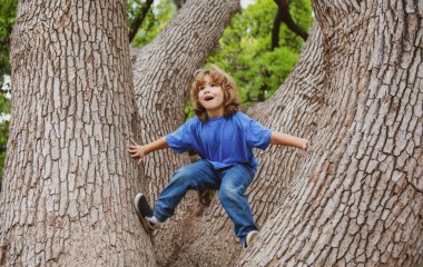 Doğada ağaca tırmanan tatlı çocuk. Çocuklar dışarıda oynuyor.