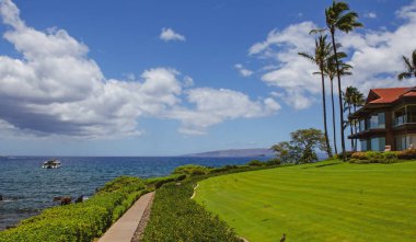 Hawaii 'deki doğa manzarası, berrak denizde palmiye ağacı olan tropikal plaj.