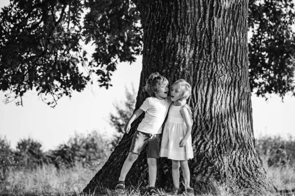 Ευτυχισμένο Κορίτσι Και Αγόρι Στο Πεδίο Συναισθήματα Στο Πρόσωπο Αγοράκι — Φωτογραφία Αρχείου