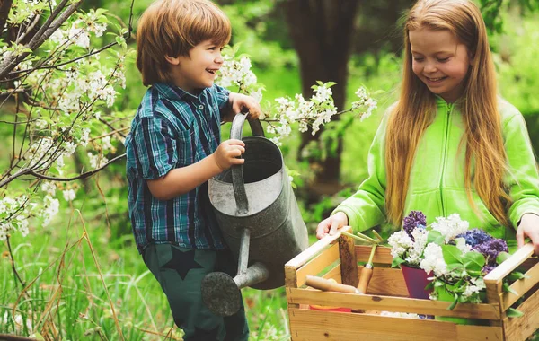 Little Toddler Boy Girl Gardening Having Fun Spring Yard Pretty — 스톡 사진