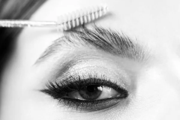 Eyebrows Care Cosmetics Beauty Spa Treatments Cosmetology Products — Stock Photo, Image