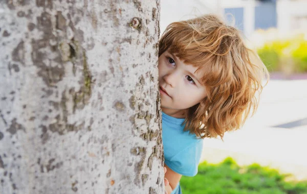 Kids Games Playing Hide Seek Peekaboo Little Boy Hiding Tree — Stock Photo, Image