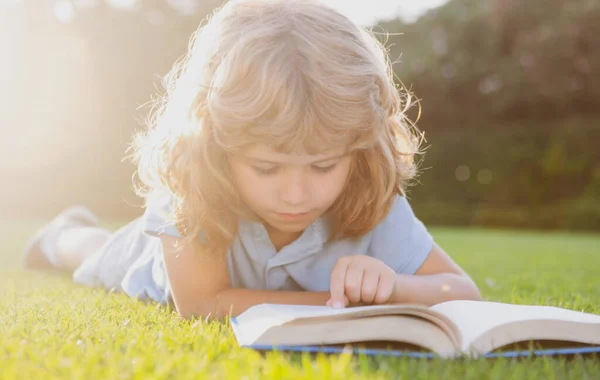 Kleine Jongen Leest Een Boek Zomer Zonsondergang Licht — Stockfoto