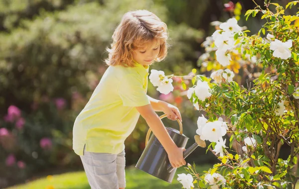 Söt Pojke Vattna Växter Och Rosor Med Vattenkanna Trädgården Barn — Stockfoto