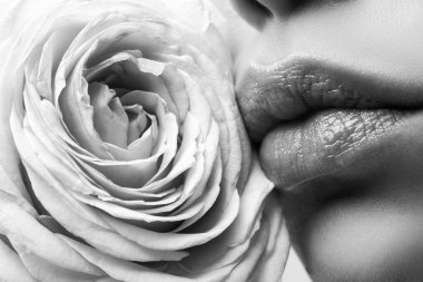 Kız ağzını açar. Doğal güzellik dudakları. Pembe rujlu kadın dudakları. Şehvetli kadınların dudak kremi. Parlak rujlu kırmızı dudak. Yaklaş, güzel ağızlı makro. Güllü güzel kadın dudakları