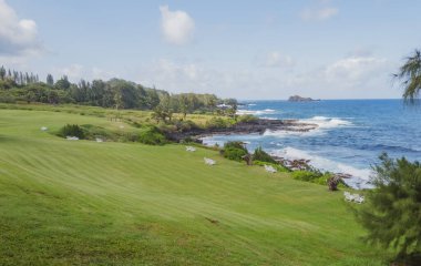 Aloha Hawaii 'de güzel bir sahil. Palmiyeli tropik plaj. Tatil ve tatil konsepti. Tropik plaj