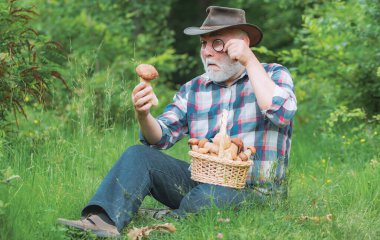 Bir sepet mantarlı ve şaşırmış bir yüz ifadesi olan büyükbaba.