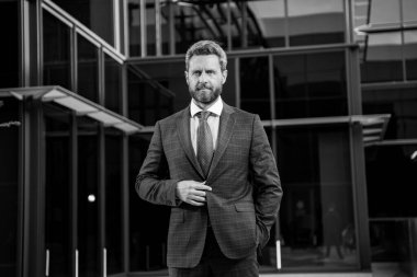 Kentsel iş adamı. Sıradan bir iş adamı ceketi giyiyor. Olgun bir iş adamının portresi.