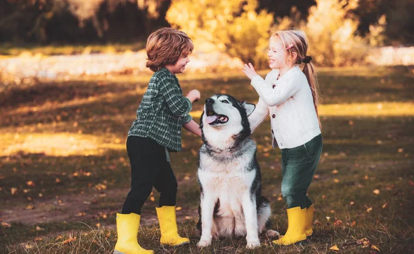 Niños Sonrientes Con Perro Paseando Sobre Fondo Del Campo Otoño —  Fotos de Stock
