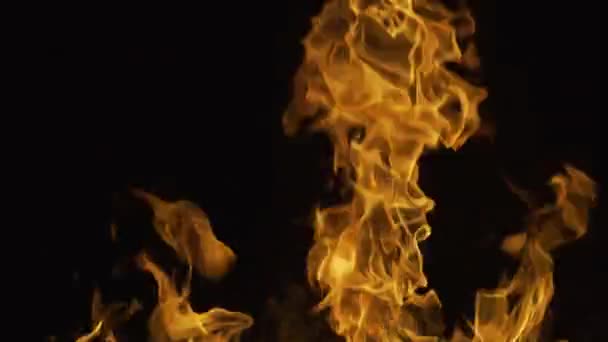 Das Feuer Die Brennende Flamme Großes Loderndes Feuer Lodernde Feuerflamme — Stockvideo