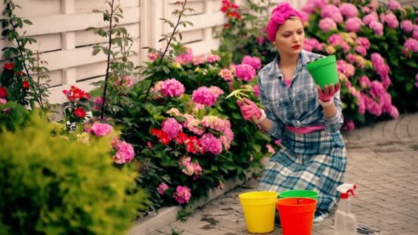 园艺师女人在自家花园种花 园艺和花卉栽培 花卉护理 — 图库视频影像