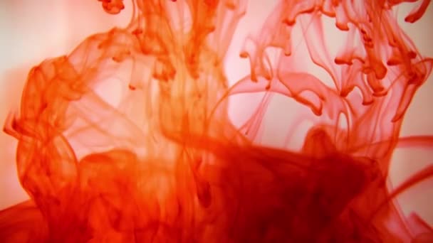 Sangue Vermelho Água Tinta Colorida Splat Modelo Design Abstrato Pinte — Vídeo de Stock