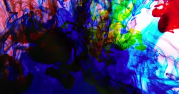 Color Paint Drops Water Abstract Colour Mix Drop Ink Color — Stock Video