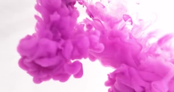 Salpicadura Pintura Rosa Fondo Abstracto Pinta Salpicaduras Agua Disuelve Lentamente — Vídeos de Stock
