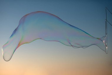 Gökyüzünde uçan sabun köpükleri Gün batımında mavi arka plan