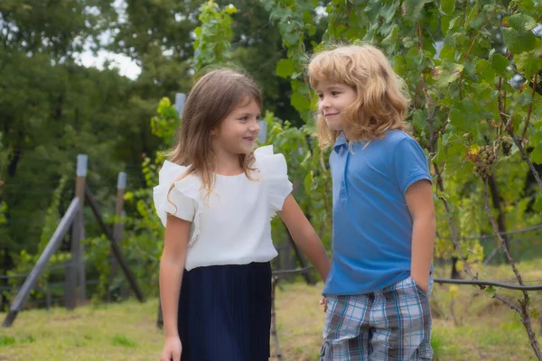 Petits Enfants Mignons Jouant Extérieur Portrait Deux Jeunes Enfants Heureux — Photo