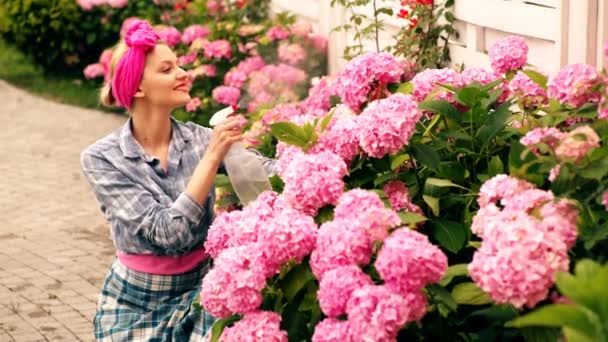 Κορίτσι Ποτίζει Ορτανσία Χαμογελαστή Γυναίκα Κηπουρική Στην Αυλή Χόμπι Οικιακής — Αρχείο Βίντεο