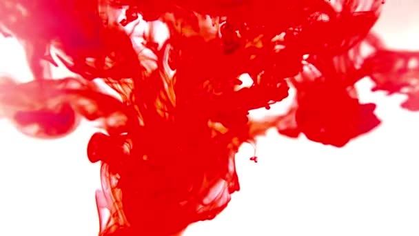 Барвистий Шаблон Дизайну Paint Splat Малювати Колір Плескання Тла Падіння — стокове відео