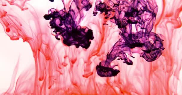 水に色絵具が落ちる 抽象的な色のミックス 水に落ちるインクの色絵具のドロップカラフルな絵具は水中で渦巻くスプラッシュ カラフルなスプラッシュ 創造性と芸術 — ストック動画