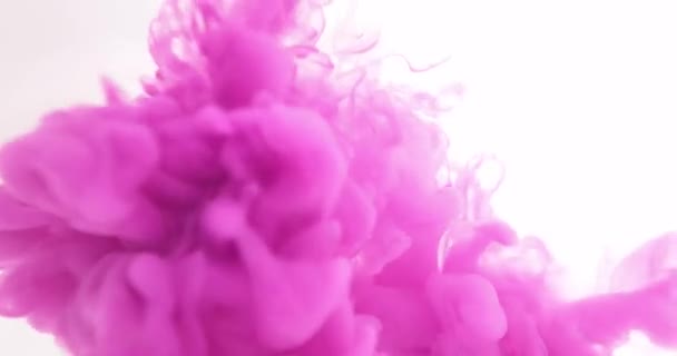 Wzór Pink Paint Splat Abstrakcyjny Farba Kolor Plusk Tła Spadek — Wideo stockowe