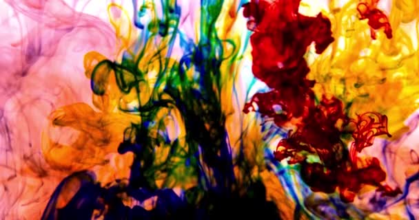 Barevný Abstraktní Efekt Výbuchu Barva Barvy Víří Vodě Barevná Kapalina — Stock video