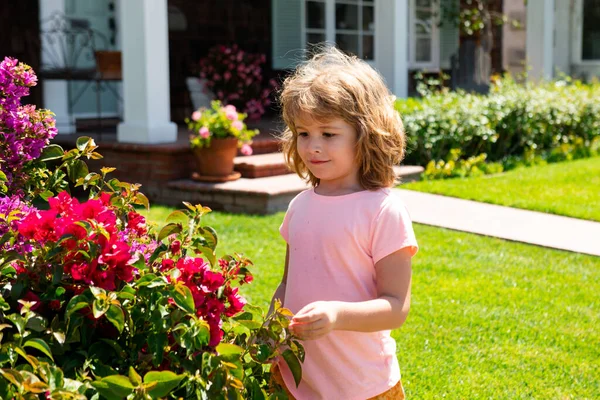 Söt Liten Pojke Plockar Blommor Blommande Sommarträdgård Vårbarns Ansikte Glada — Stockfoto