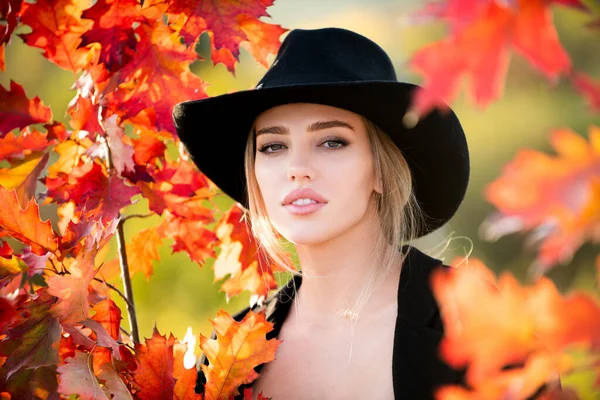Autumn woman in hat near colorful autumn leaves. Pretty romantic tenderness autumn model