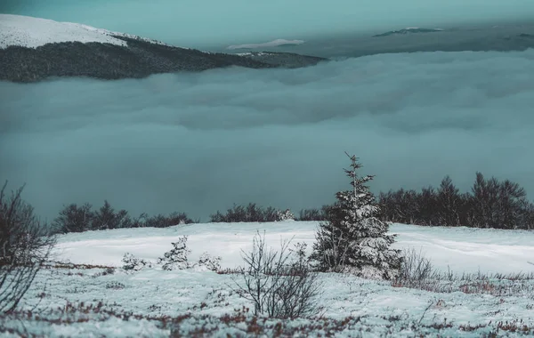 Потрясающая Рождественская Сцена Горах Снежный Пейзаж Снежные Горы Зима Лесу — стоковое фото