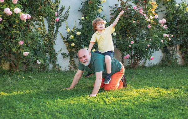 Child with Grandfather dreams in summer in nature. Happy grandfather giving grandson piggyback ride on his shoulders and looking up