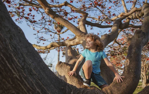 Ağaç Dalında Küçük Bir Çocuk Çocuk Ağaca Tırmanır — Stok fotoğraf