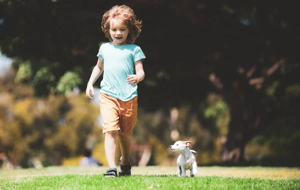 Fun games with home doggy on summer vacation. Young boy runs in a green field with his pet