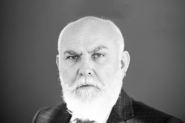 Tahtadaki profesörün ya da öğretmenin yakından görünüşü izole edildi. Üniversitede kır saçlı kıdemli profesör.