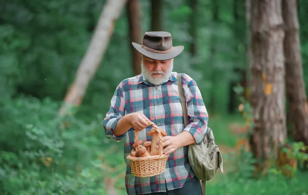 Älterer Mann Mit Pilzen Korb Über Waldhintergrund Alter Mann Fuß — Stockfoto