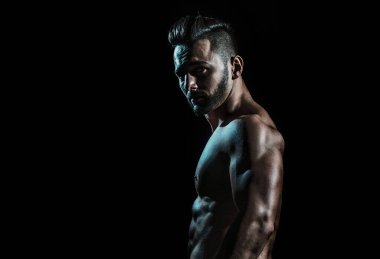 Seksi erkek model vücut, çıplak gövde. Seksi çıplak adam, baştan çıkarıcı eşcinsel. Kaslı üstsüz adam, çekici adam.