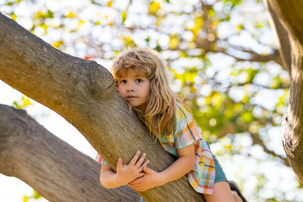 小さな男の子が木に登ろうとしている 木に登る子供たち 庭で夏の日を楽しむ幸せな少年 子供の男の子が遊んで木に登ると枝をぶら下げ — ストック写真