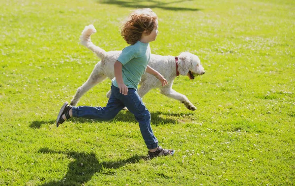 Niño Corriendo Con Perro Parque Niño Con Perro Cachorro Aire —  Fotos de Stock
