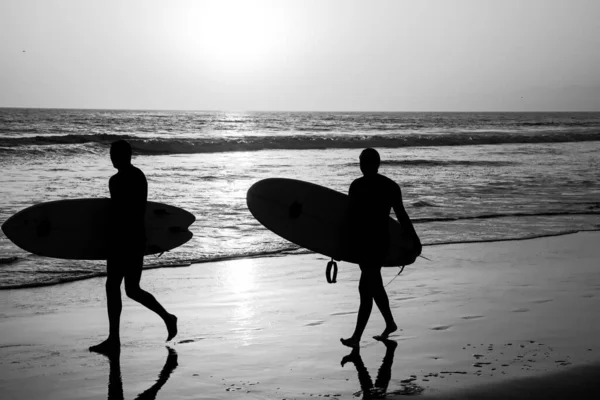 Silhouette Surfeurs Portant Leur Planche Surf Sur Plage Coucher Soleil — Photo
