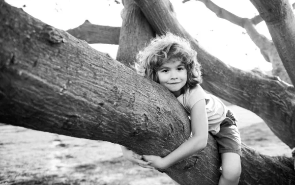 Child climbing a tree. Cute caucasian kid boy happily lying in a tree hugging a big branch