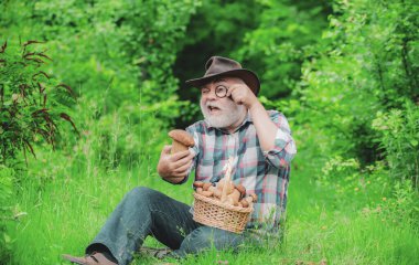 Mutlu Büyükbaba - yaz ve hobiler. Yaşlı adam yürüyor. Büyükbaba Emekli. Ormanda kıdemli yürüyüş. Mantar sepeti ve sürpriz bir yüz ifadesi ile Büyükbaba