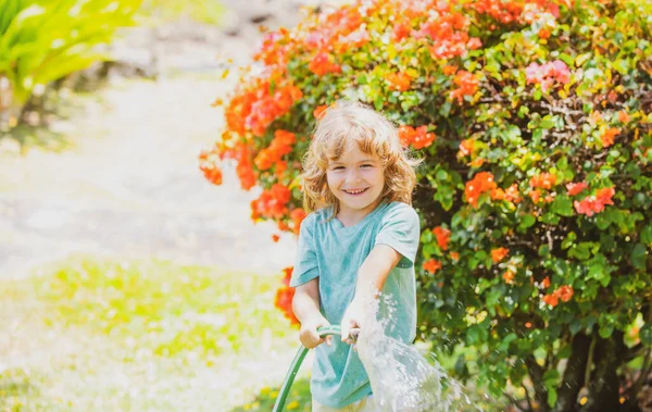 Милый Мальчик Поливает Растения Саду Летний День Ребенок Садовыми Инструментами — стоковое фото