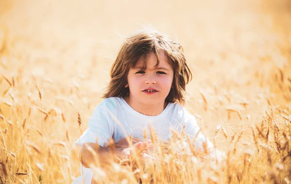 Sarı saçlı küçük çocuk yazın buğday tarlasında eğleniyor.