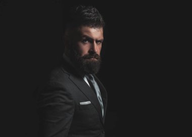 Zengin adam modeli. İş adamı konsepti. Koyu gri takım elbiseli, uzun sakallı bir iş adamı. Klasik takım elbiseli, gömlek ve kravatlı adam.